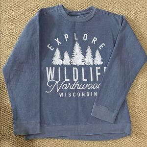 Youth WI sweatshirt